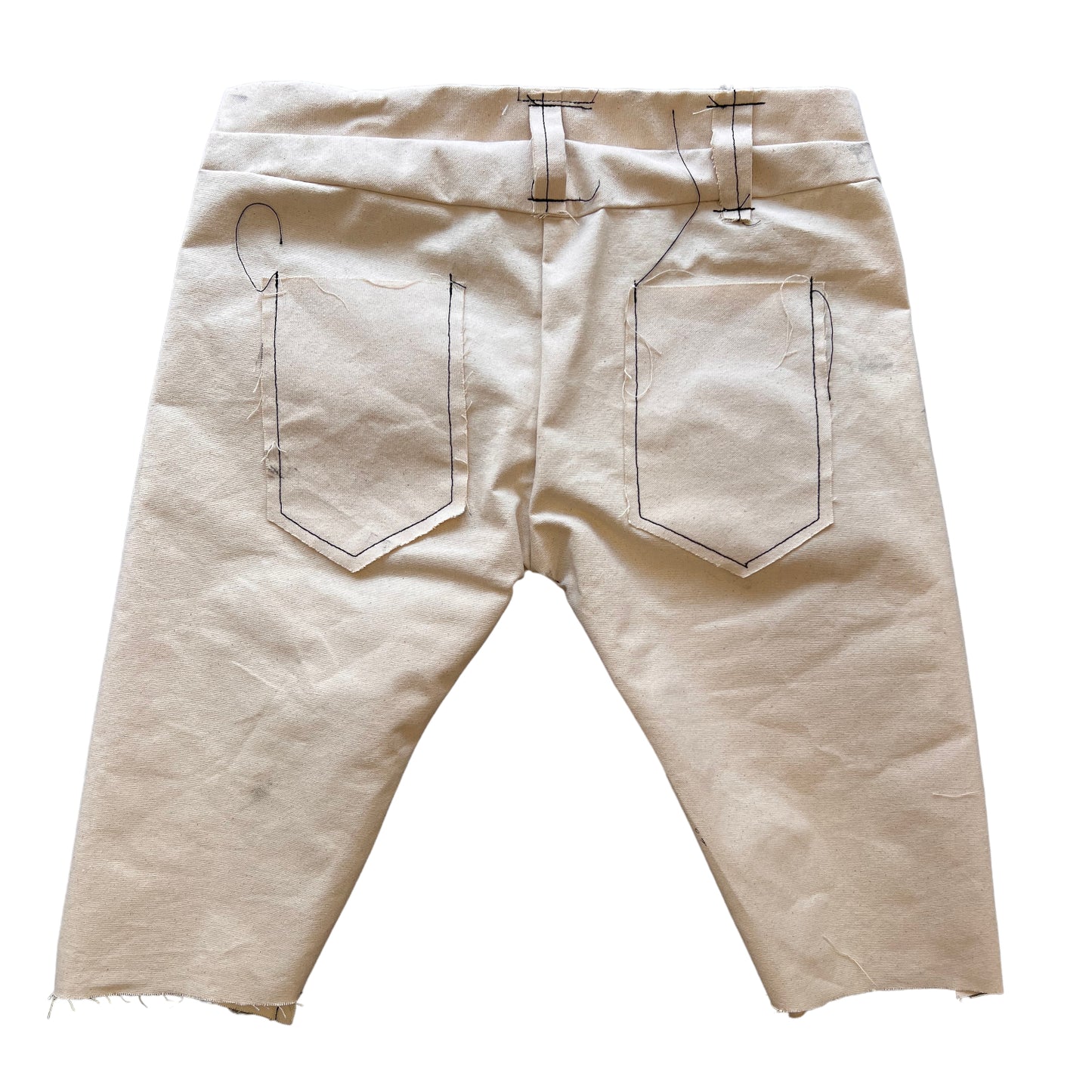 RAW canvas Phantasm shorts