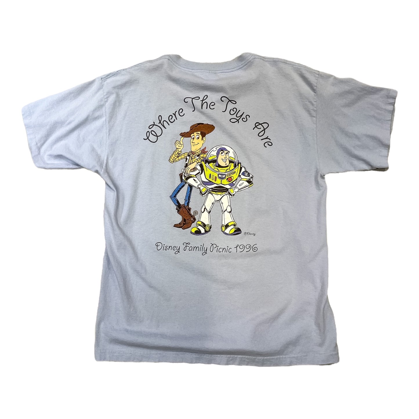 1996 the Walt Disney company family picnic