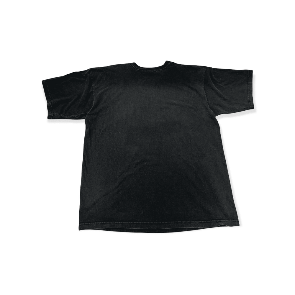 1996 Earth 2 vintage Tshirt